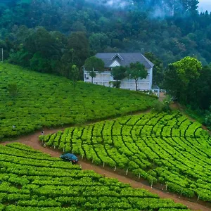 Tea Harvester Отель