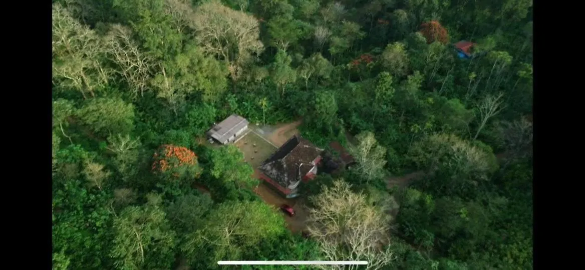 Wild Zone Villa Munnar