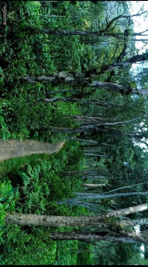 Holiday home Wild Zone Villa Munnar